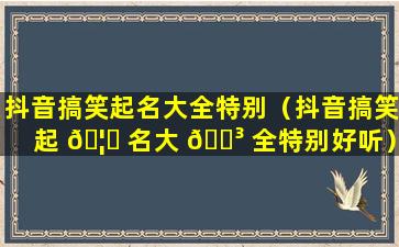 抖音搞笑起名大全特别（抖音搞笑起 🦄 名大 🐳 全特别好听）